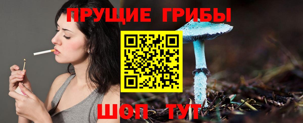 Маркс  Галлюциногенные грибы прущие грибы  Вход с VPN  Галлюциногенные грибы мицелий 